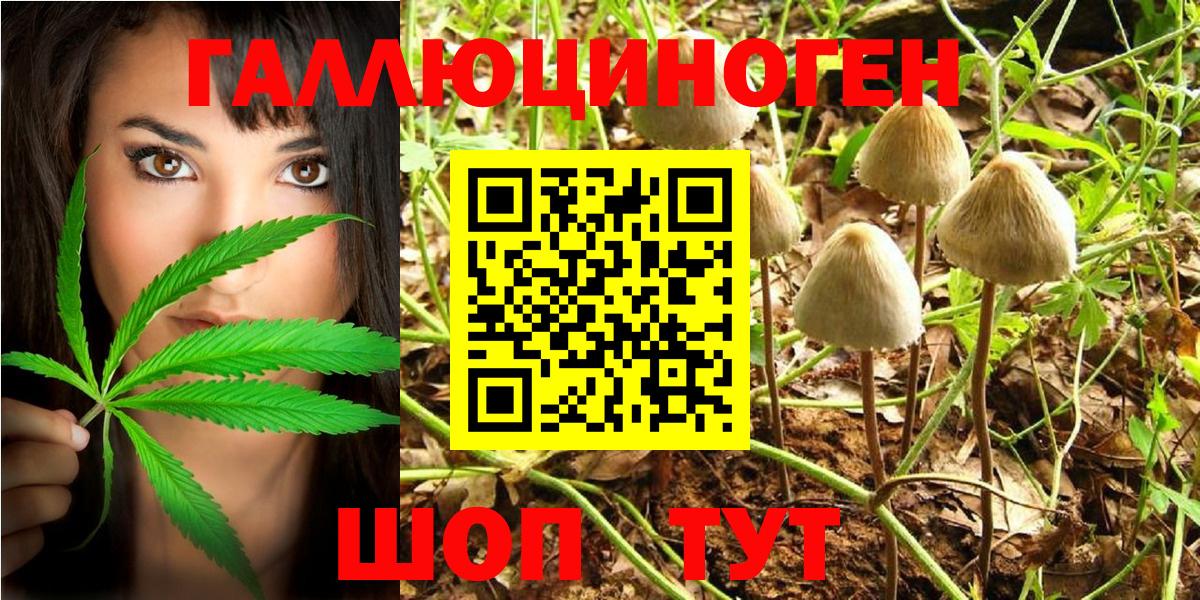 Тихвин  Галлюциногенные грибы Psilocybe  Вход с VPN 